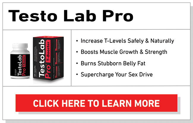 testo lab pro 1