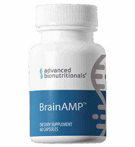BrainAMP Review