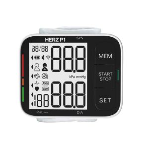 Herz P1 Smart BPM Review